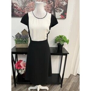 Jones New York Women’s Sheath colorblock dress Size 8 Zipper Back Cap Sleeve